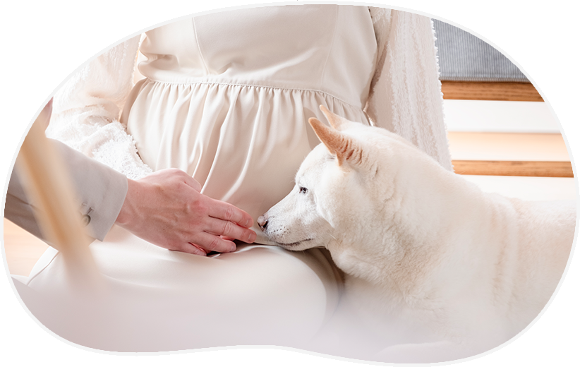 マタニティー 動画/写真 出張撮影プラン